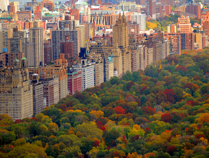 Overhead shot of Central Park