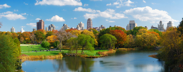 Central Park Views