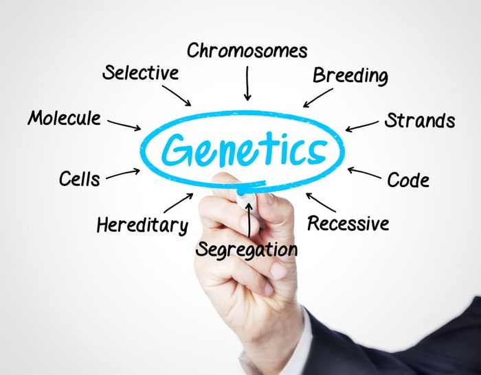 Genetics