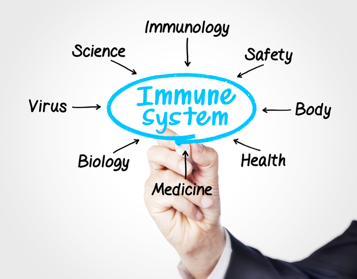 Immune System