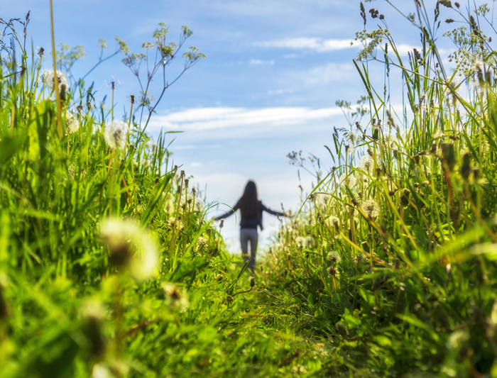 Nature Walk