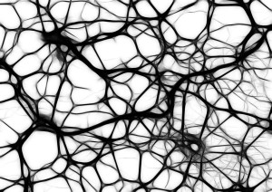 neurons-440660_1280