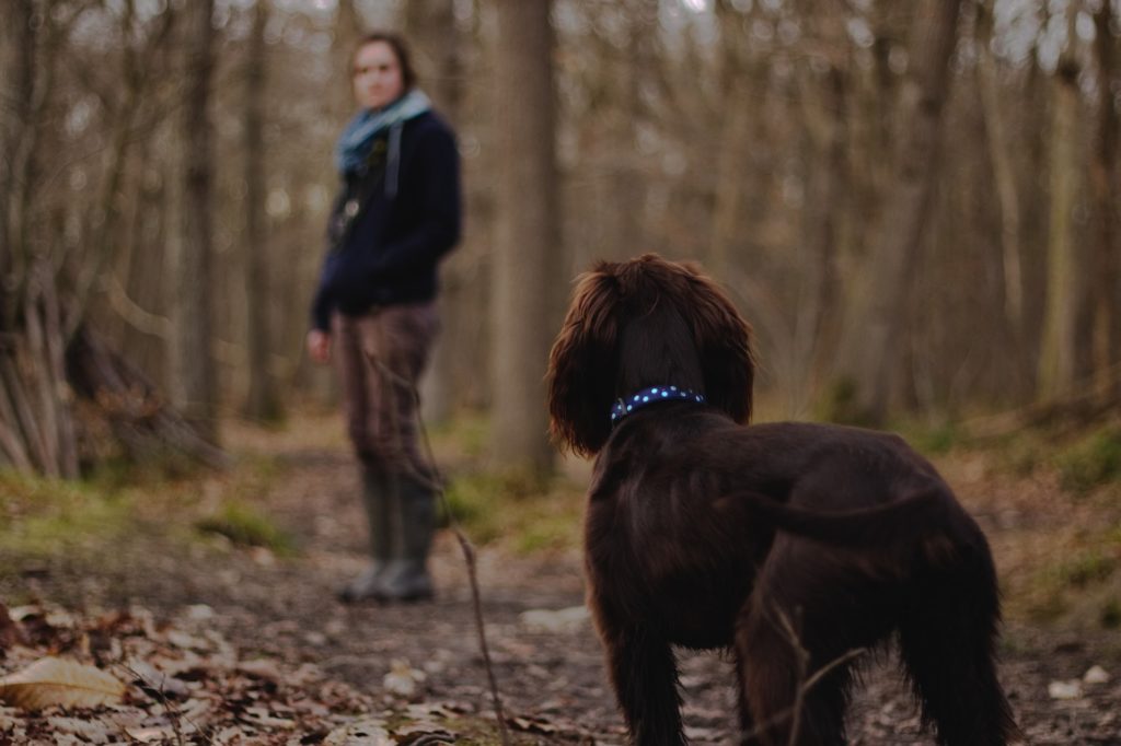 Woman with BED walking her dog