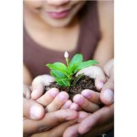 Woman holding plant