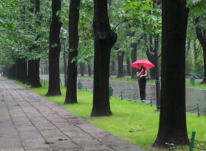 Umbrella in Ireland