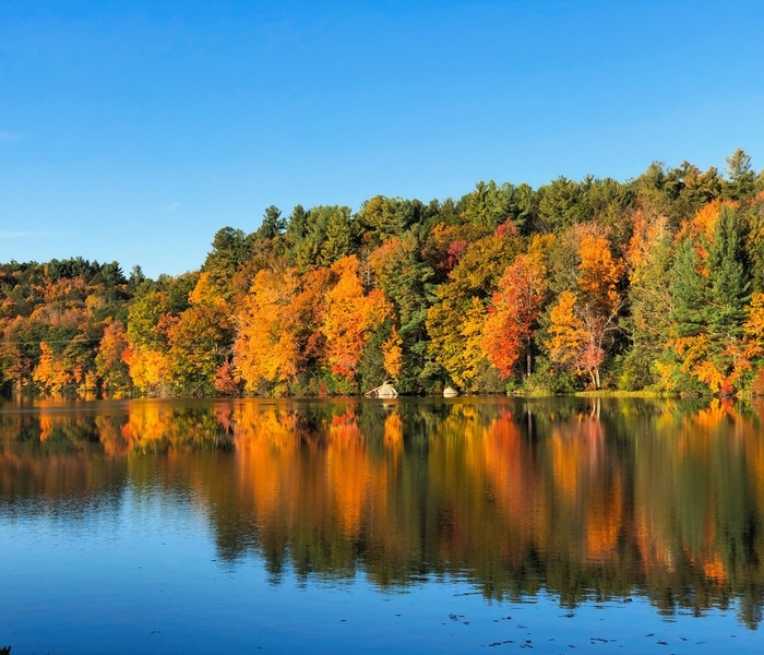 Lake Views