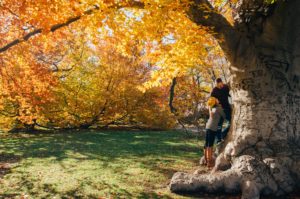 Couple at base of the tree