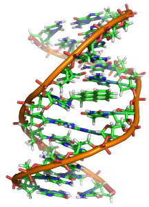 Genes Genetically Predisposed to eating disorders