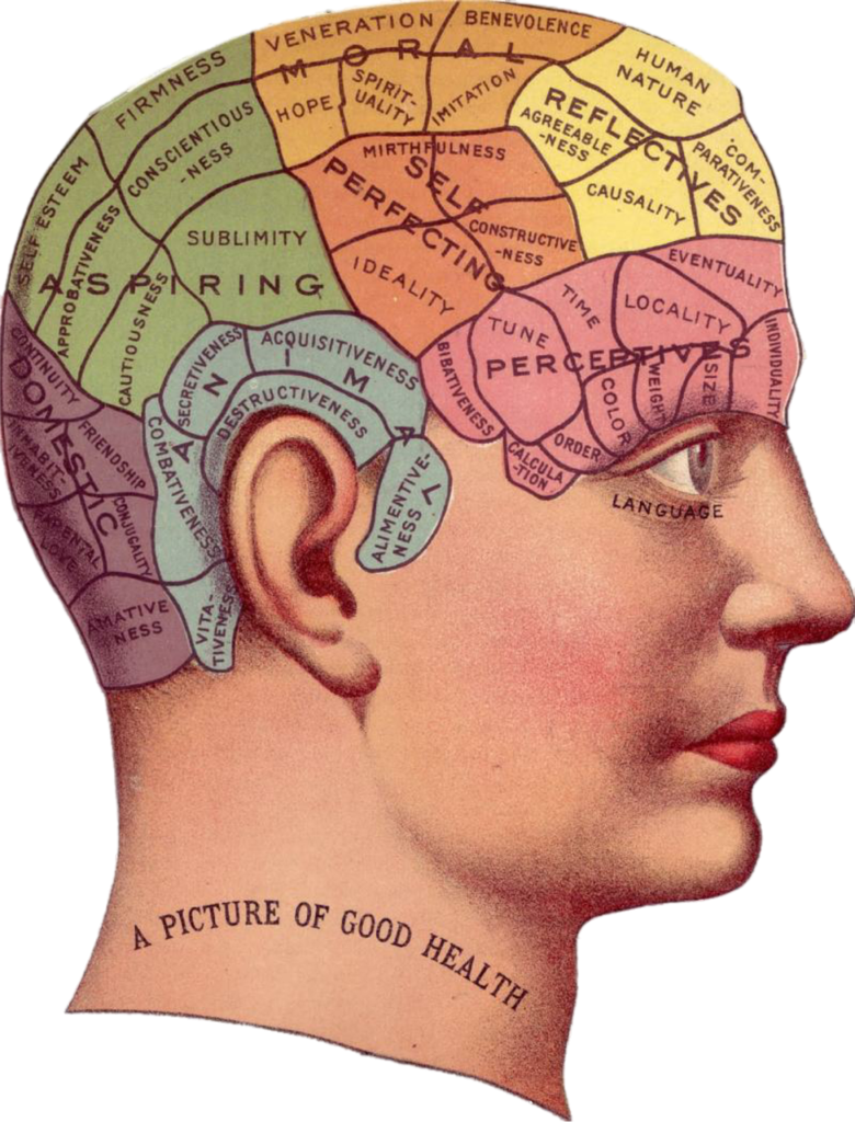 Image of brain on how to change the Eating Disorder Cycle